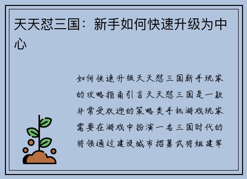 天天怼三国：新手如何快速升级为中心